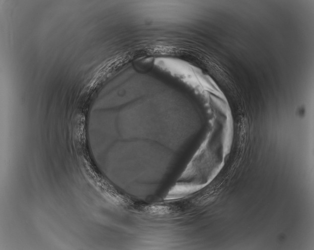 X0000115670361200912031401