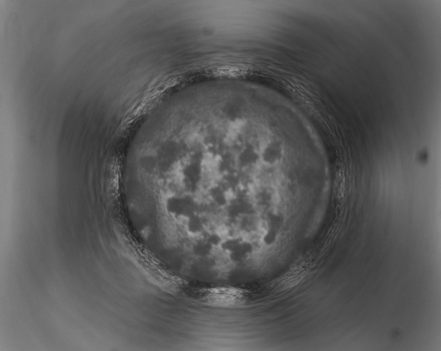 X0000115670363200912031402