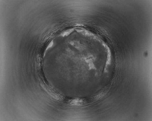 X0000115670366200912031402