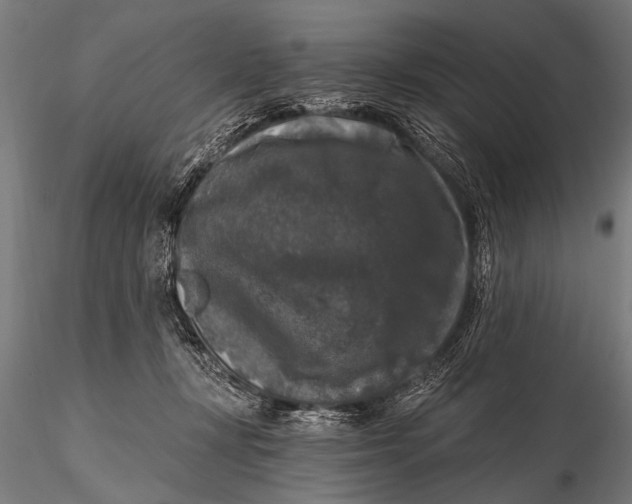 X0000115670367200912031402