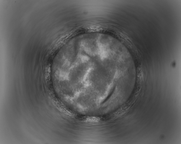 X0000115670369200912031402