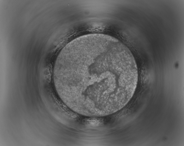 X0000115670370200912031402