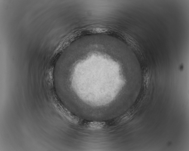 X0000115670373200912031402