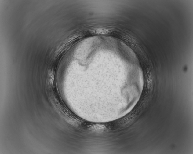 X0000115670374200912031402