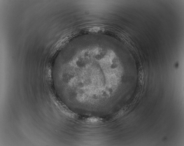 X0000115670375200912031402