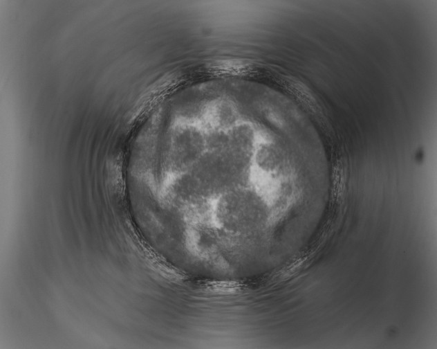 X0000115670377200912031402