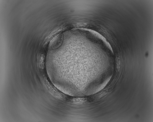 X0000115670378200912031402