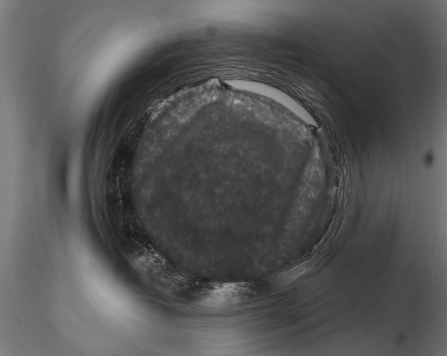 X0000115670382200912031402