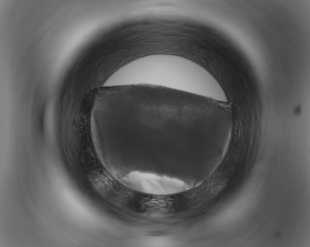 X0000115670383200912031402