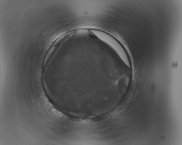 X0000115670385200912031401