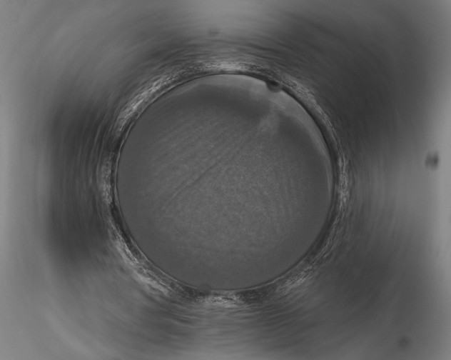 X0000115670386200912031401