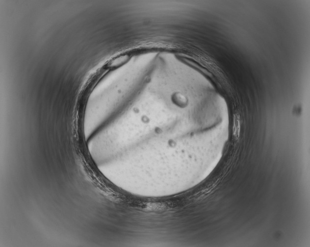 X0000115670388200912031401