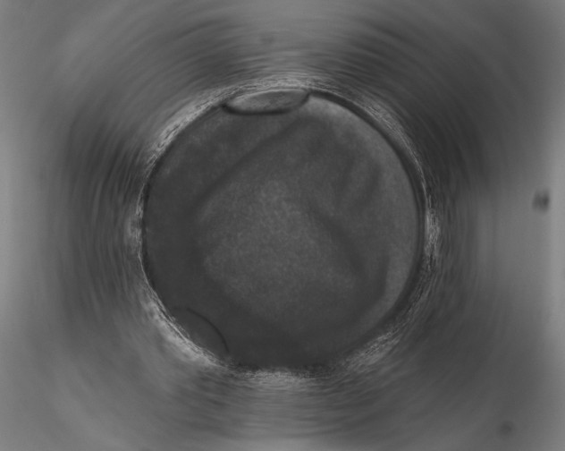 X0000115670389200912031401