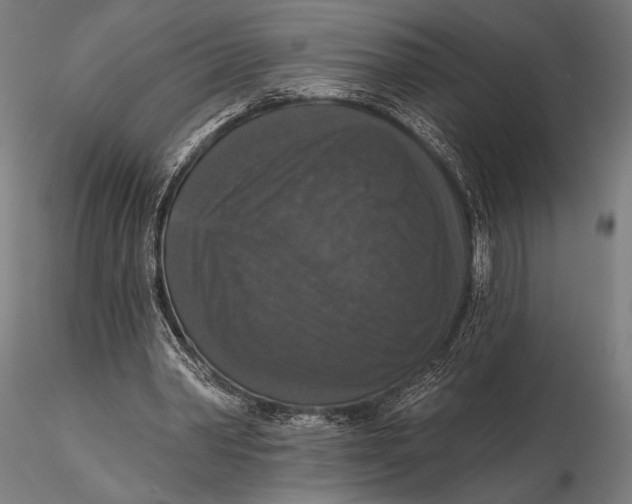 X0000115670390200912031401