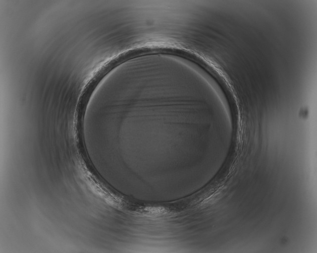 X0000115670391200912031401