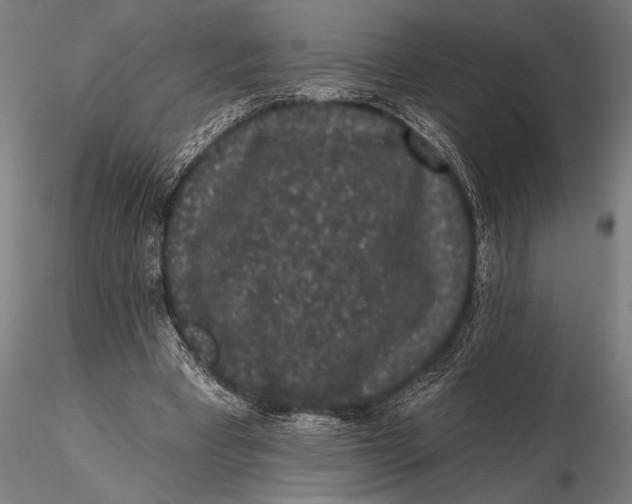 X0000115670393200912031401