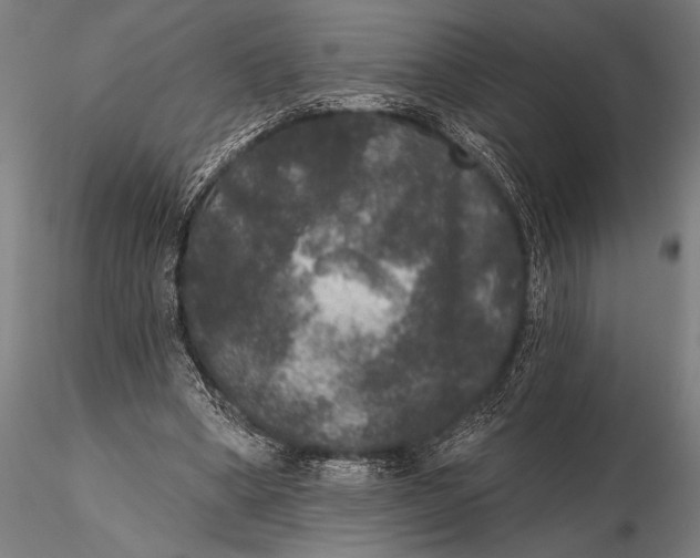 X0000115670394200912031401