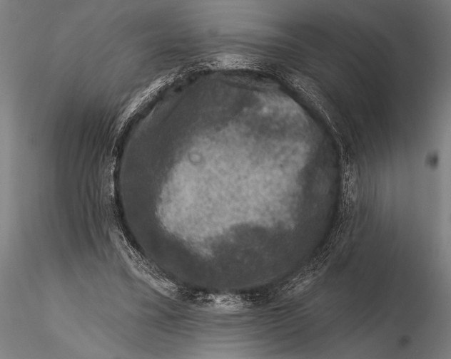 X0000115670395200912031401