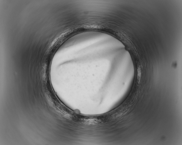 X0000115670396200912031401