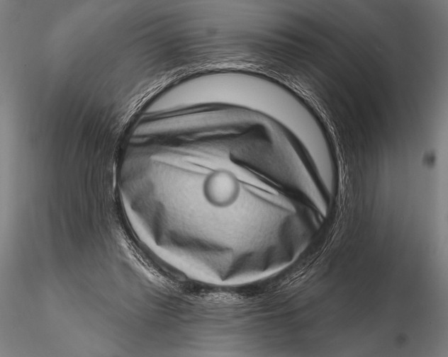 X0000115670397200912031401