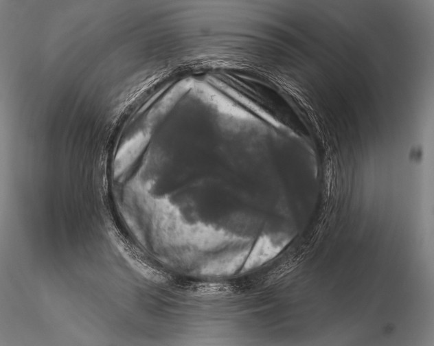 X0000115670398200912031401