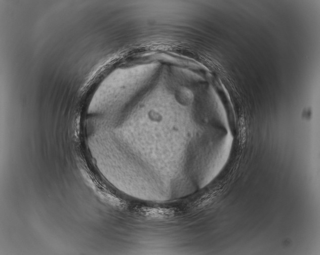 X0000115670400200912031401