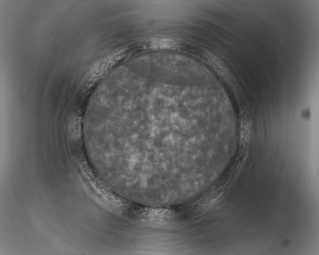 X0000115670401200912031401