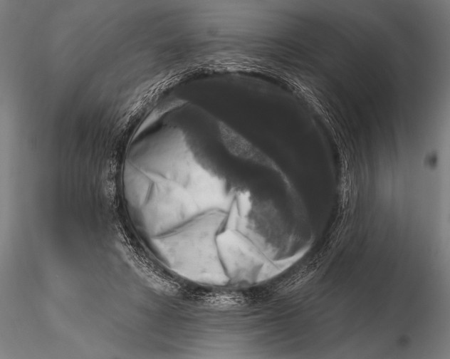 X0000115670402200912031401