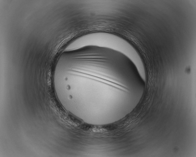 X0000115670403200912031401