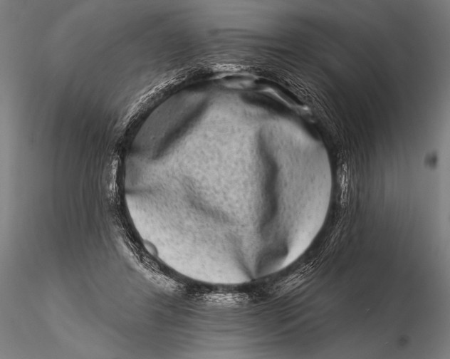 X0000115670404200912031401