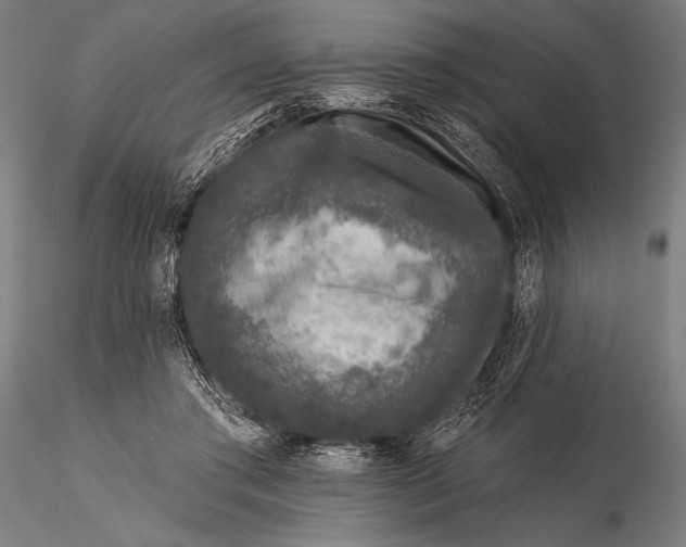 X0000115670405200912031401