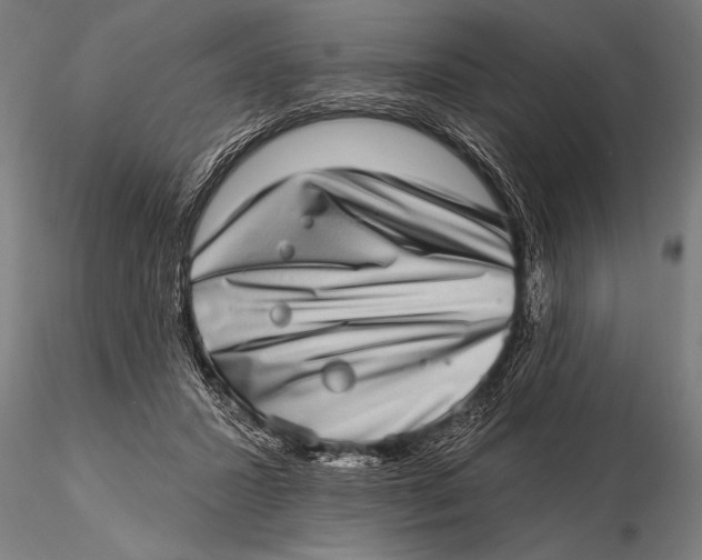 X0000115670407200912031401