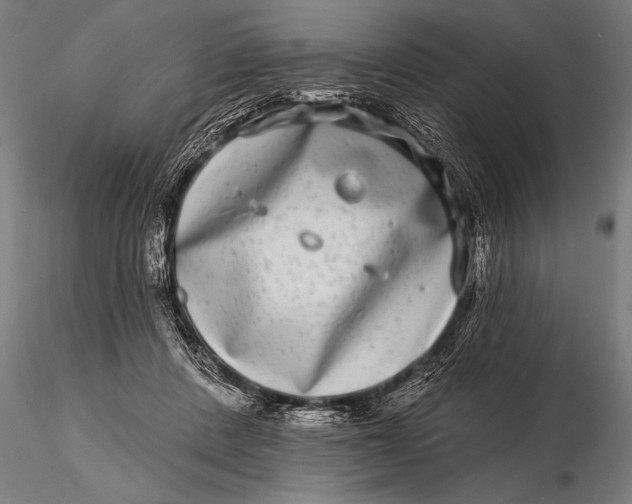 X0000115670408200912031401