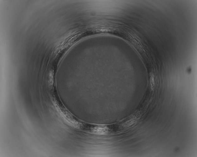 X0000115670410200912031401