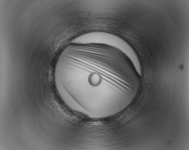 X0000115670411200912031401