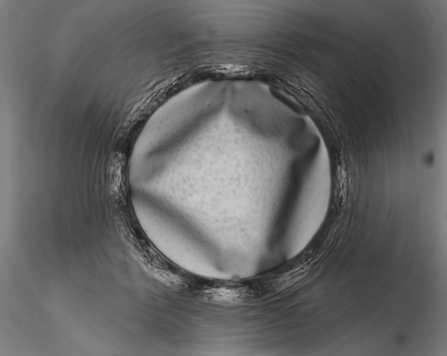 X0000115670412200912031401