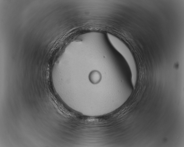 X0000115670413200912031401