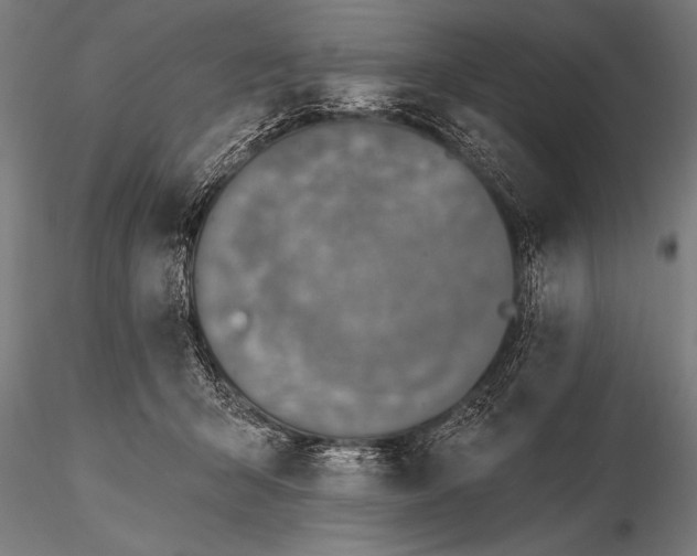 X0000115670415200912031401