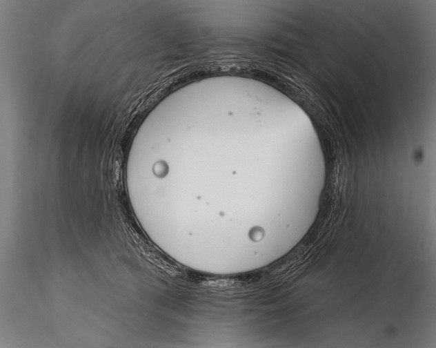 X0000115670417200912031401