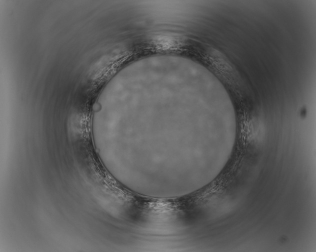 X0000115670419200912031401