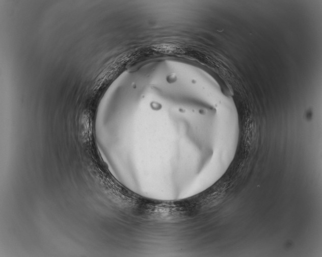 X0000115670420200912031400