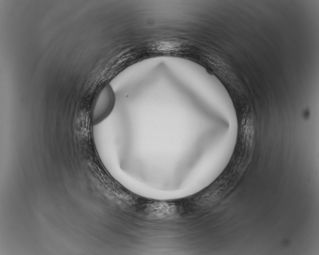 X0000115670421200912031400