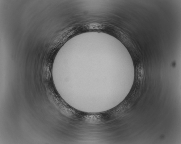 X0000115670422200912031400