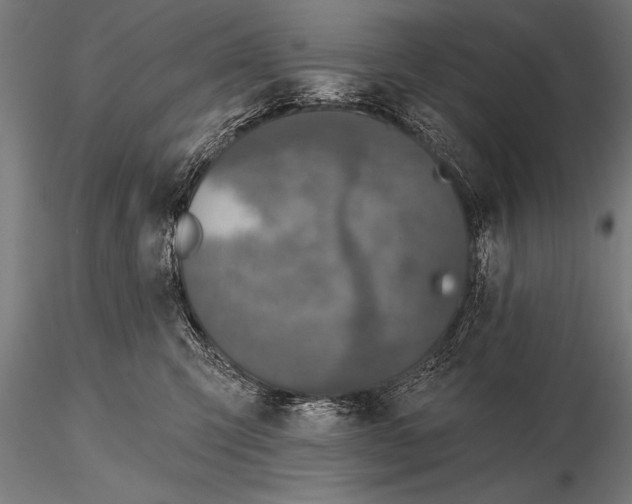 X0000115670423200912031400