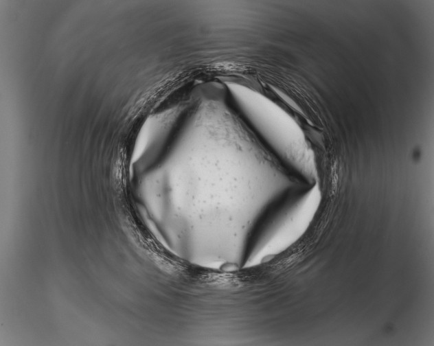 X0000115670424200912031400