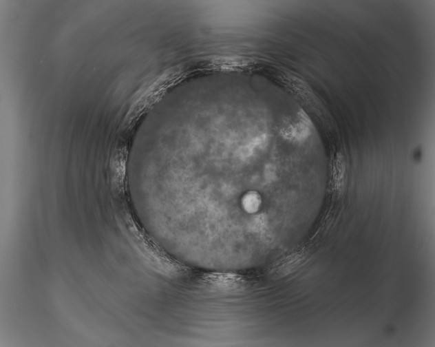 X0000115670427200912031400