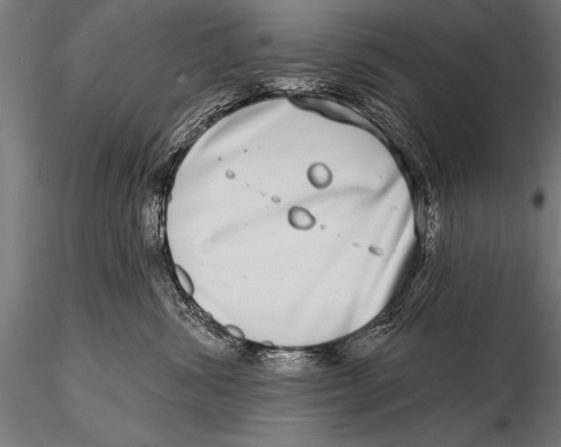 X0000115670428200912031400