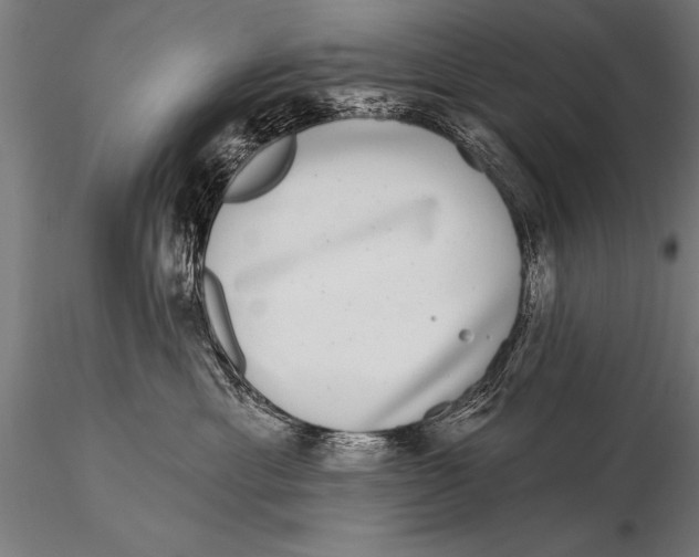 X0000115670429200912031400