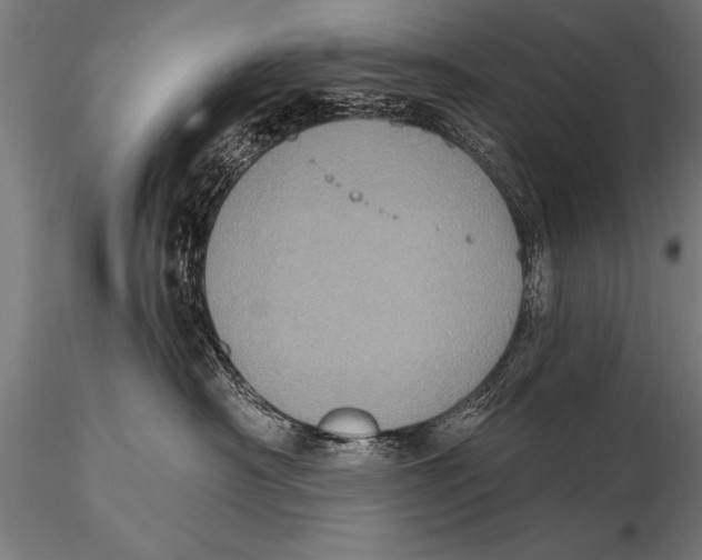 X0000115670430200912031400