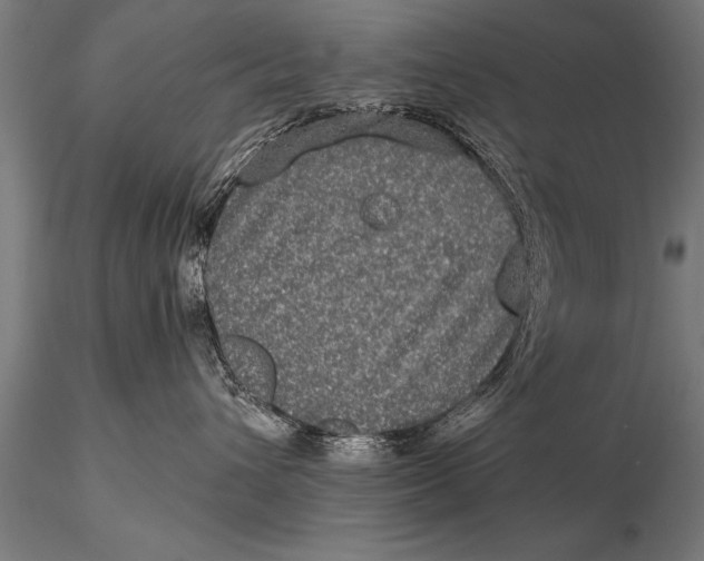 X0000115670432200912031400